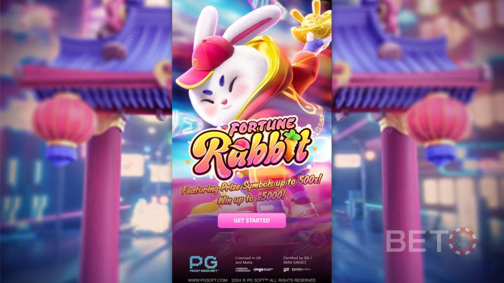 fortune rabbit